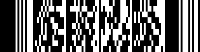 PDF417 VIN Barcode