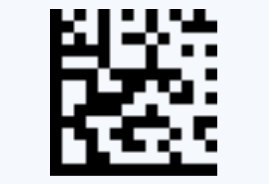 example of data matrix.png
